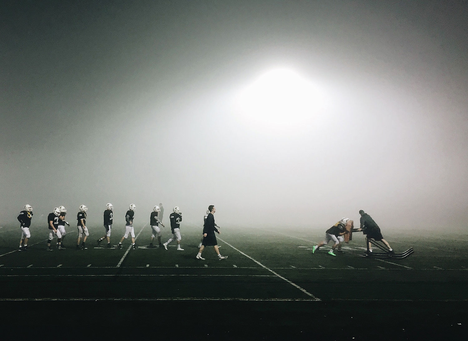 Fox Creative | Roster Dana Neibert Personal